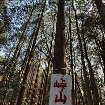 峠山🏳️‍🌈477m

ここからちょいちょい急登が出て
"ｵｲｵｲ"と突っ込みたくなるᕦ(ò_óˇ)ᕤ