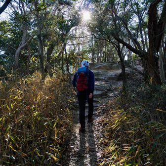 逆光がキラキラで最高です。