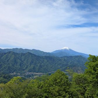 おお、なんという絶景🤩