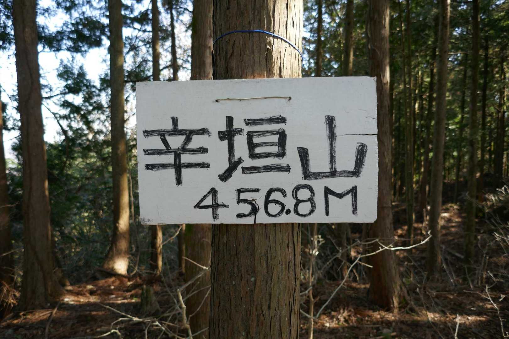 城跡から少し離れたところに山頂