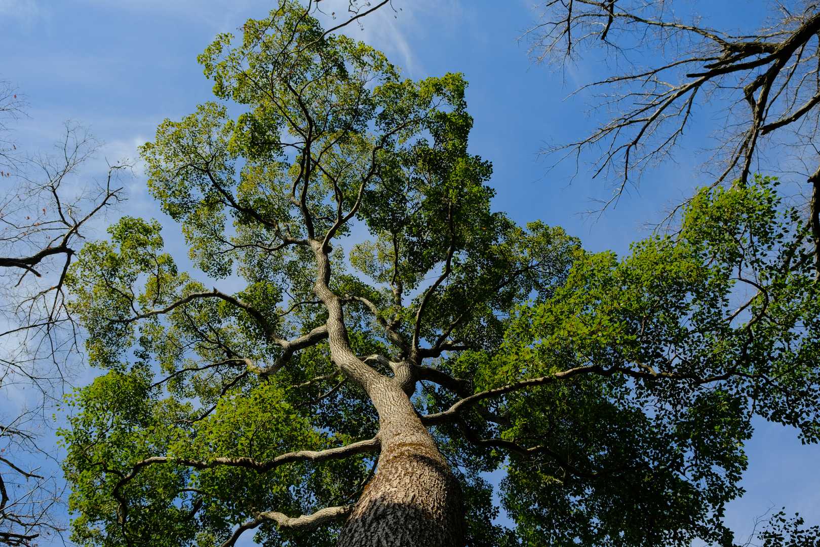 撮ってた一日