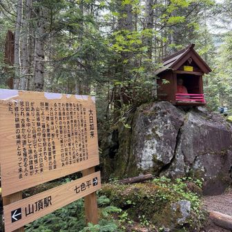 大日如来