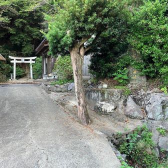 鷲尾大権現の方に回り込んで白岳を目指す
