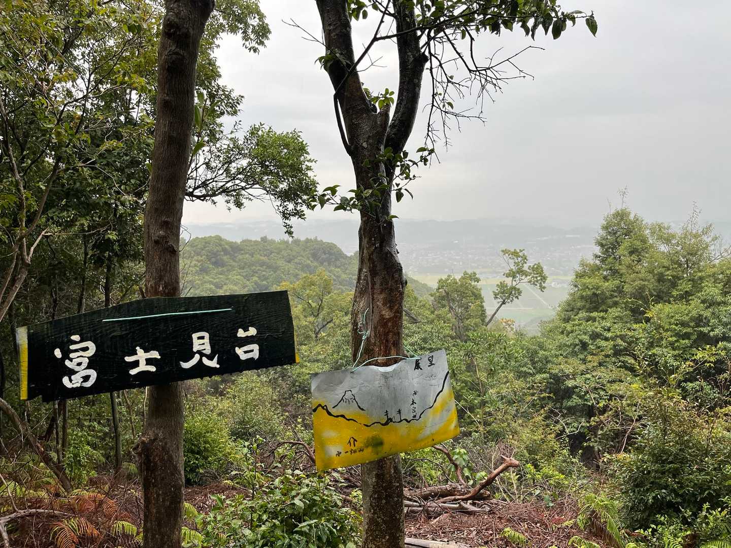 真っ白で何にも見えません！😫