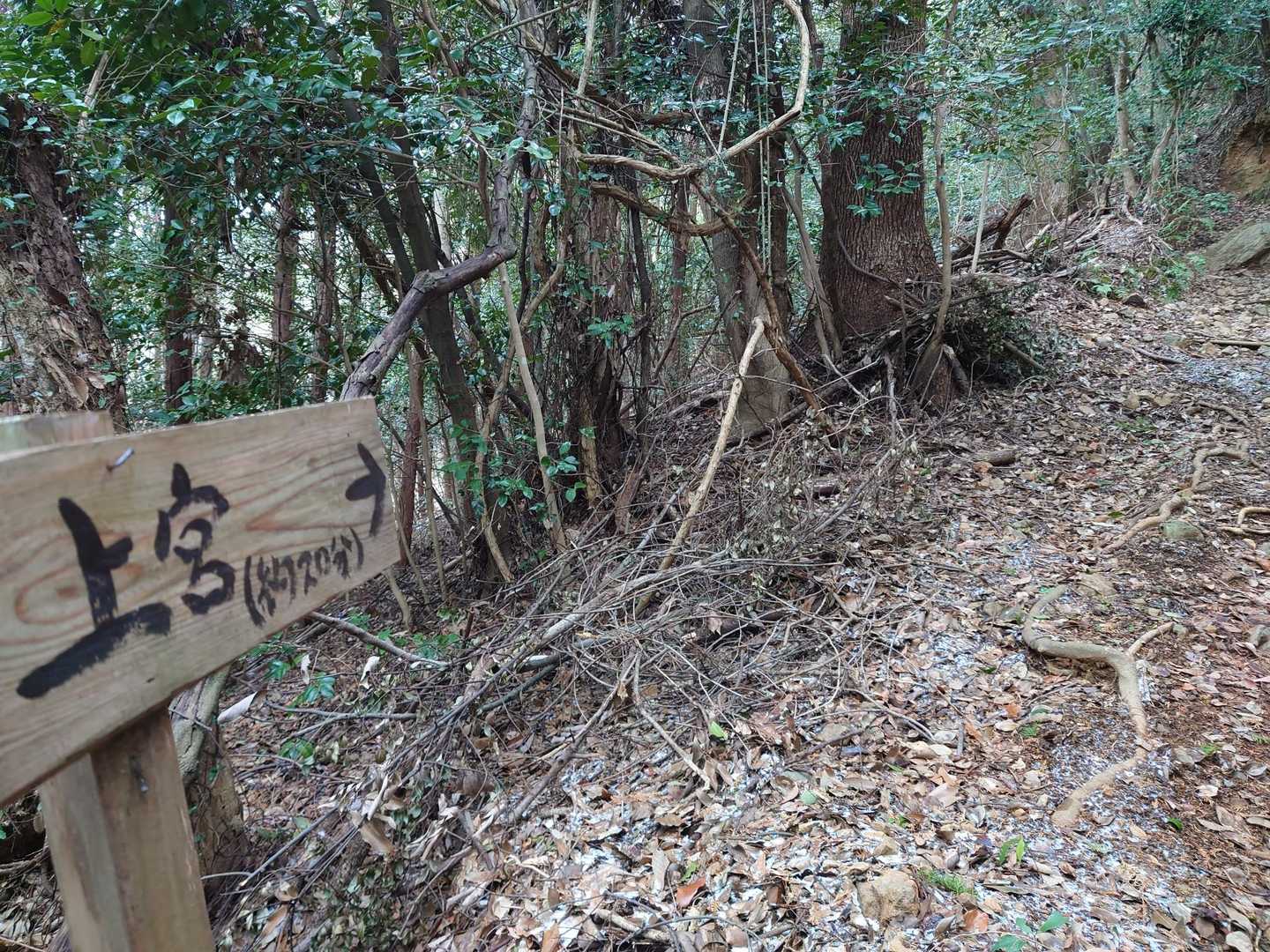 そしてまた、ひたすら登り😅