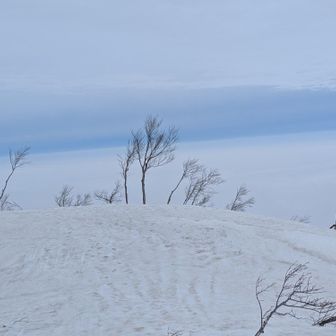 すぐに黒倉山山頂。日本海は見えず