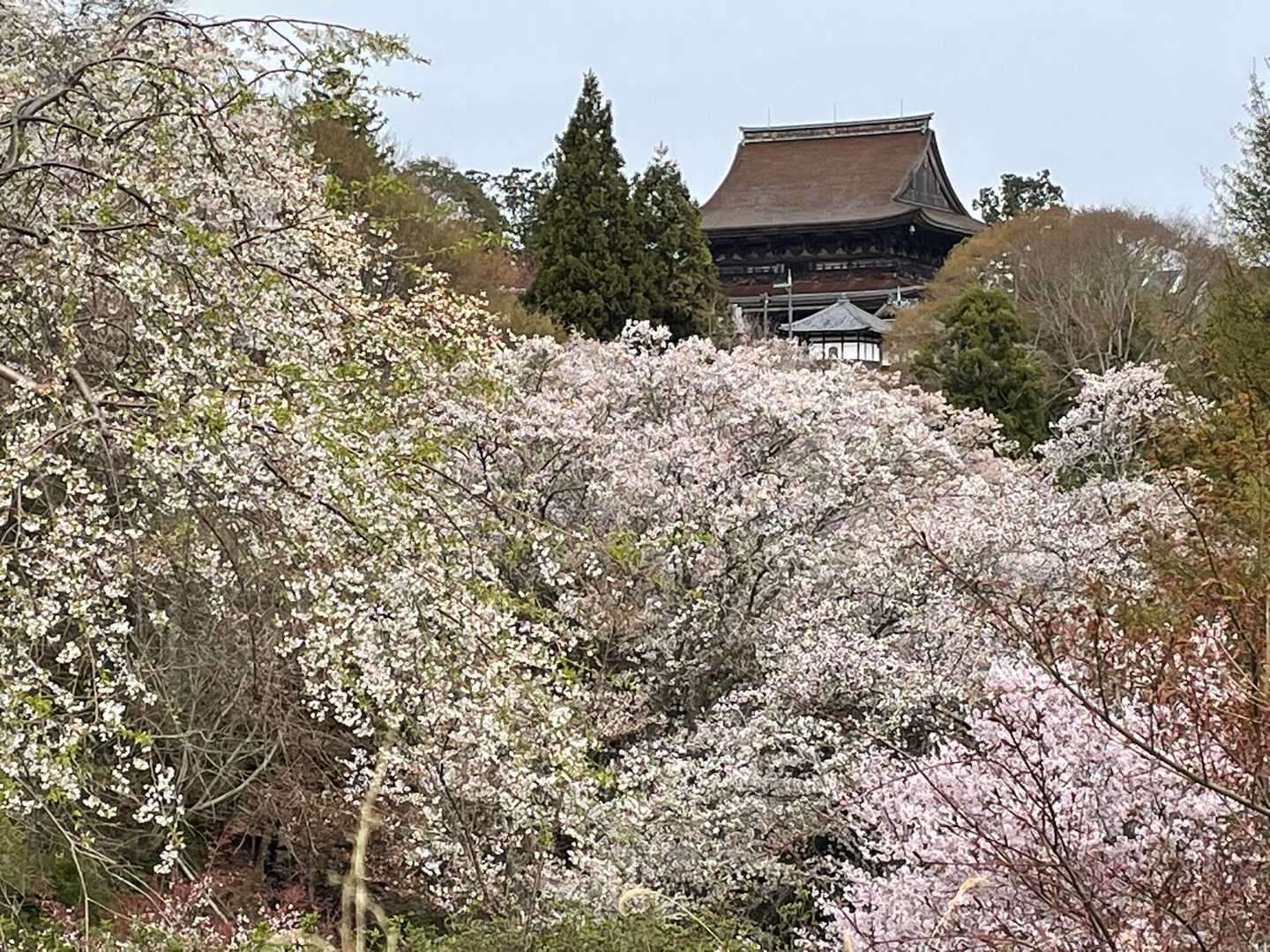 金峯山寺-韋駄天山-吉水神社 往復コースの写真