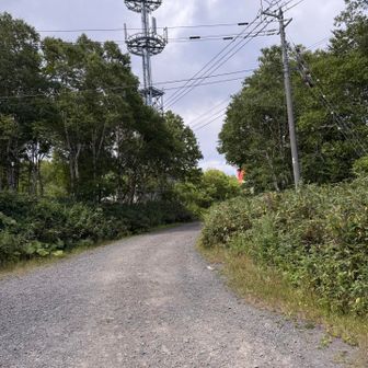 山頂。