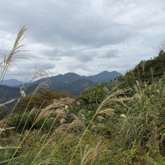 竜爪山が見えました