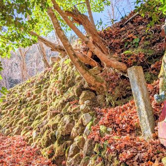 温泉♨️が下水に流れてるの
初めて見たかも（笑）
つかりたい気持ちを抑えて

ジャン🎵🎶
イザ…涌蓋山へ🔥