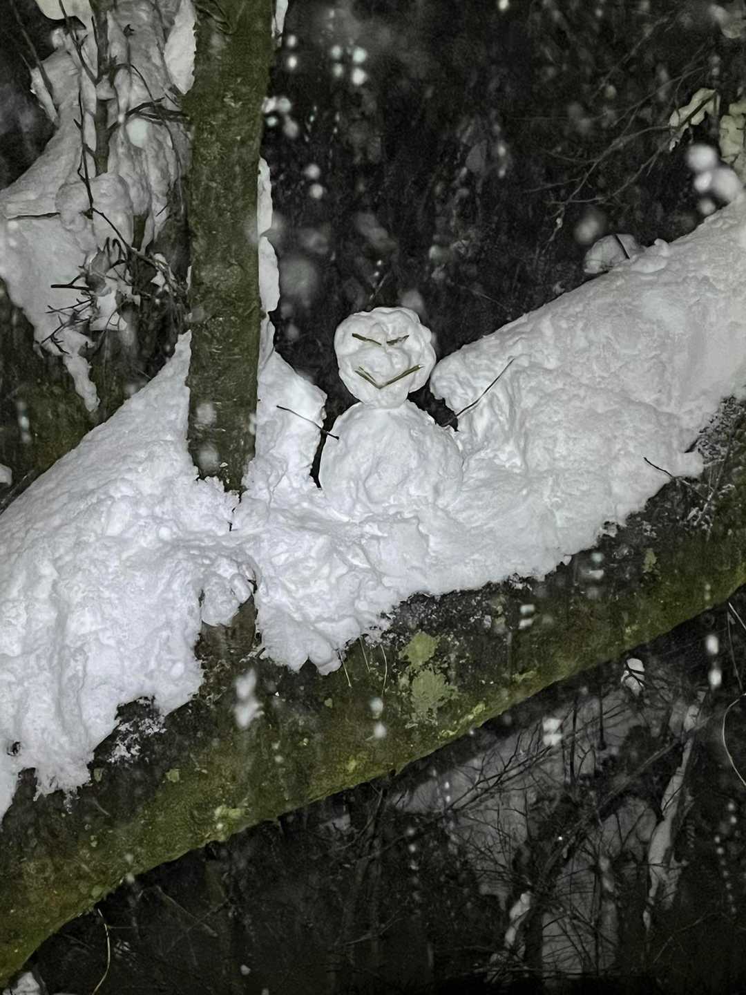 三角点の桜の木に雪だるま⛄️置いた