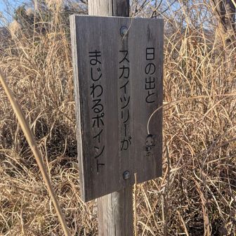 日の出とスカイツリーが交わるのは12月下旬らしい