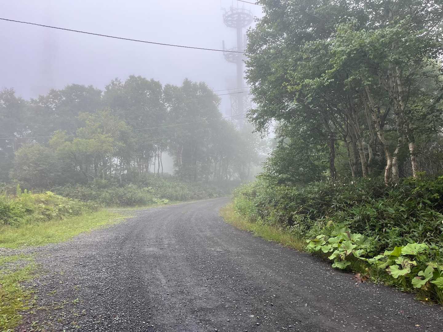 やっとここまで
白いね😶‍🌫️