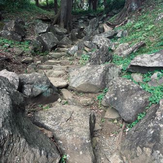 崩れた石垣のなかに擬態する階段、カオスな道