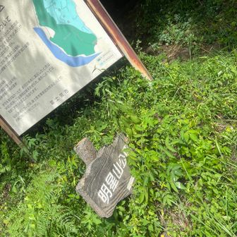 登山道入り口。見過ごしそうな場所。