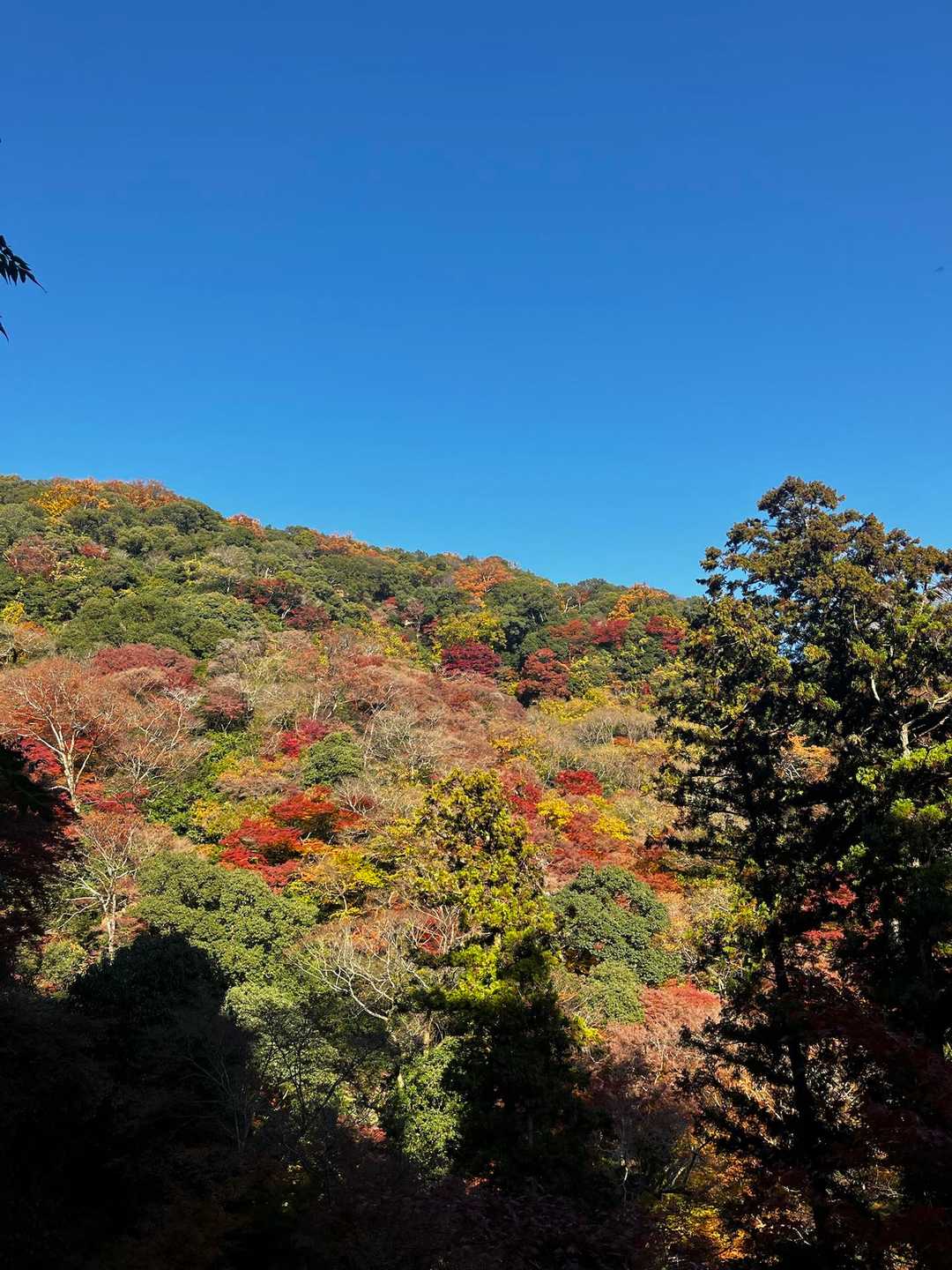 パッチワークが美しい✨