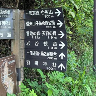 すごい数のルート表示