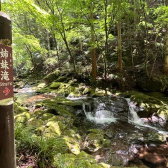 姉妹滝
同じ滝が仲良く並んでるから？🤔