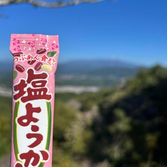 粒あん食感「塩ようかん」も😋