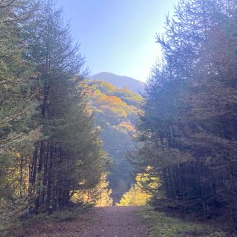 雁坂嶺
