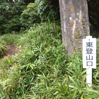 今回は「楽ちんコース」です🚶