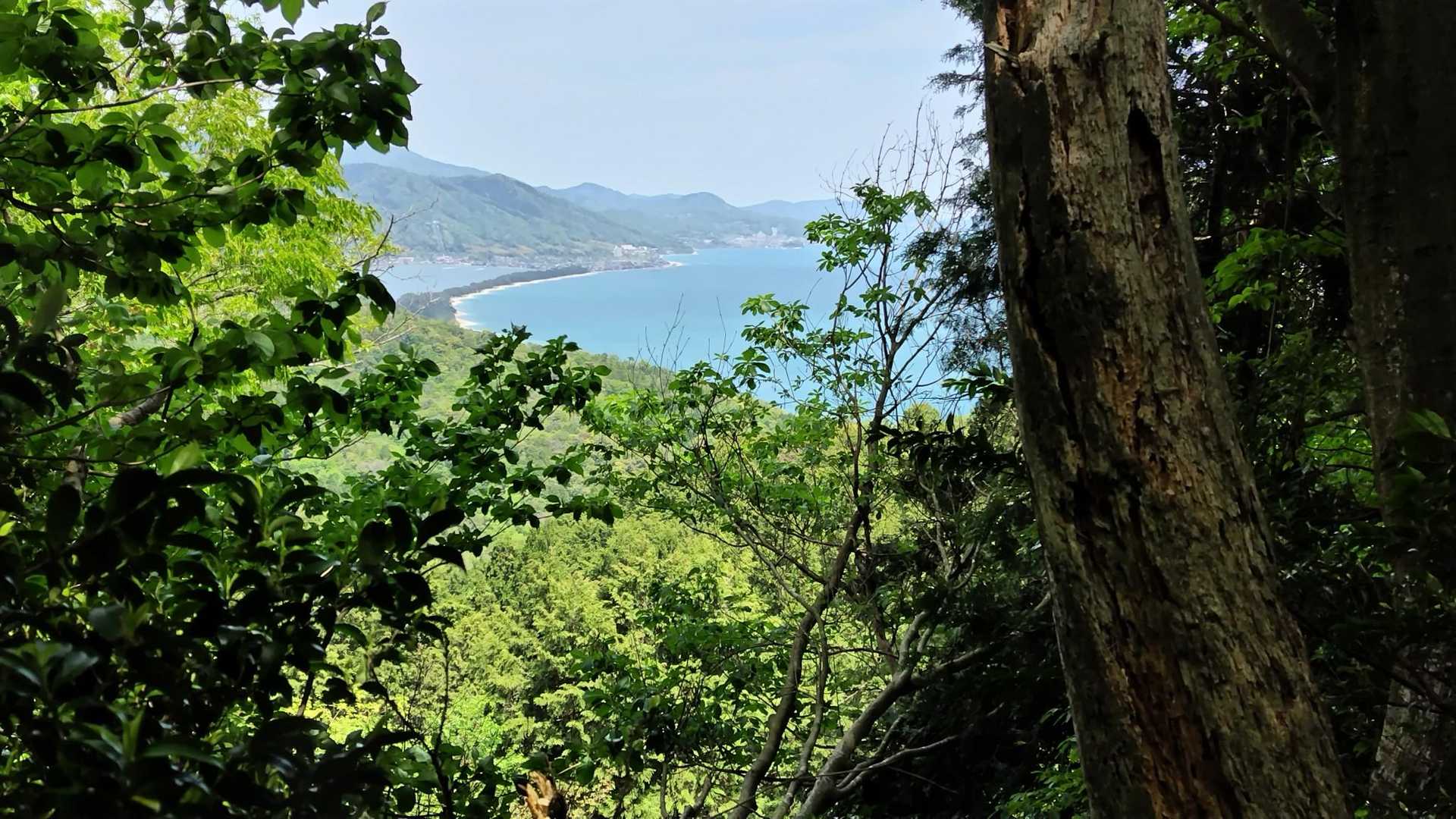 天橋立✨
このルートだと無料で見れます😁