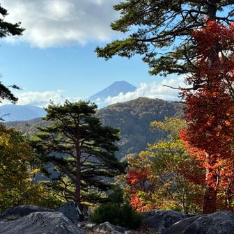 富士山も🗻バッチリ👌