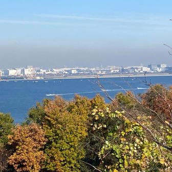 追われに追われる日々🚤🚤🚤