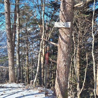 南峰
眺望はないのですぐ戻る（笑）