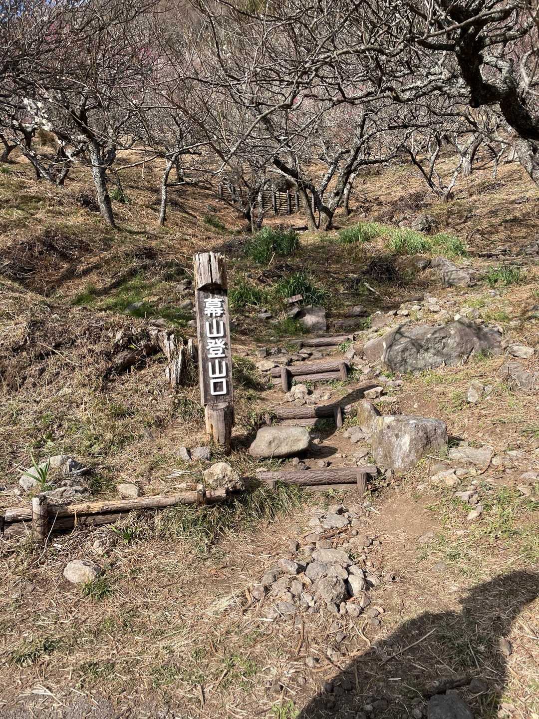 <幕山>への登山口です
登りませんが🤭