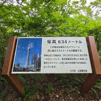 ここは634mらしい😅
ちなみに山頂は約654m