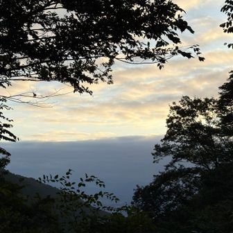 薄赤く染まる空