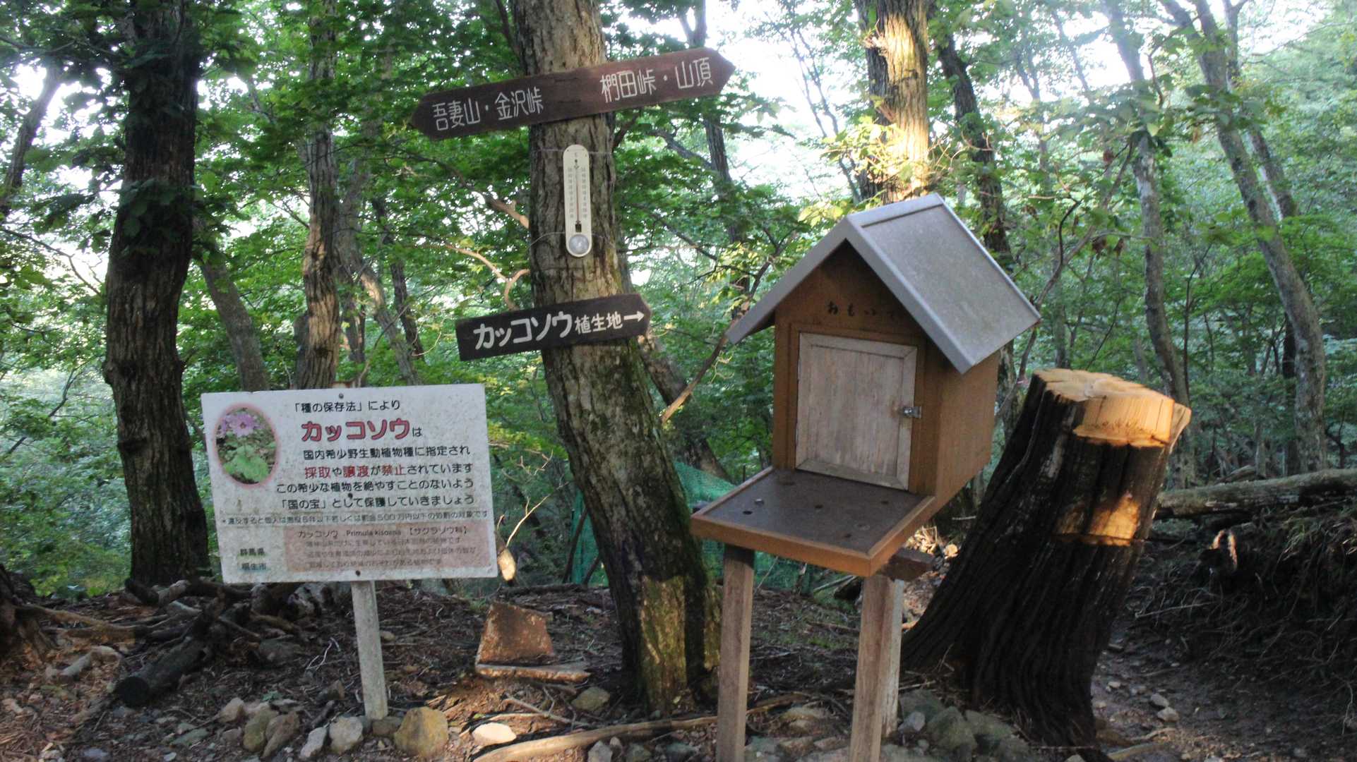 肩の広場に到着！