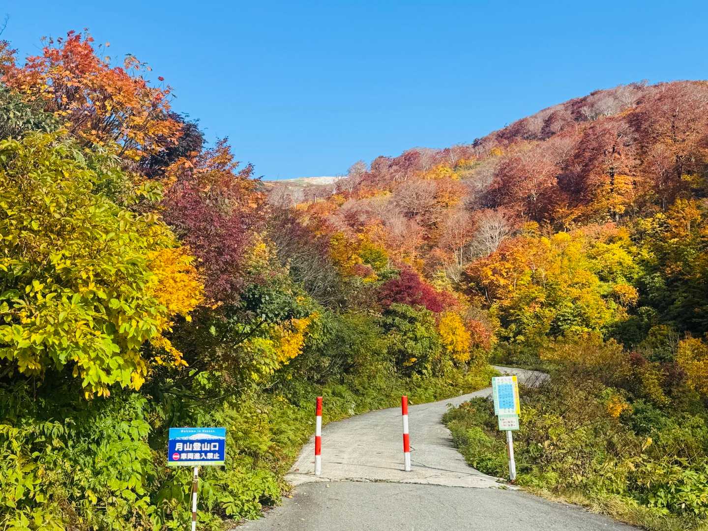 姥ヶ岳 往復コースの写真