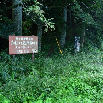賤ヶ岳のぼります。