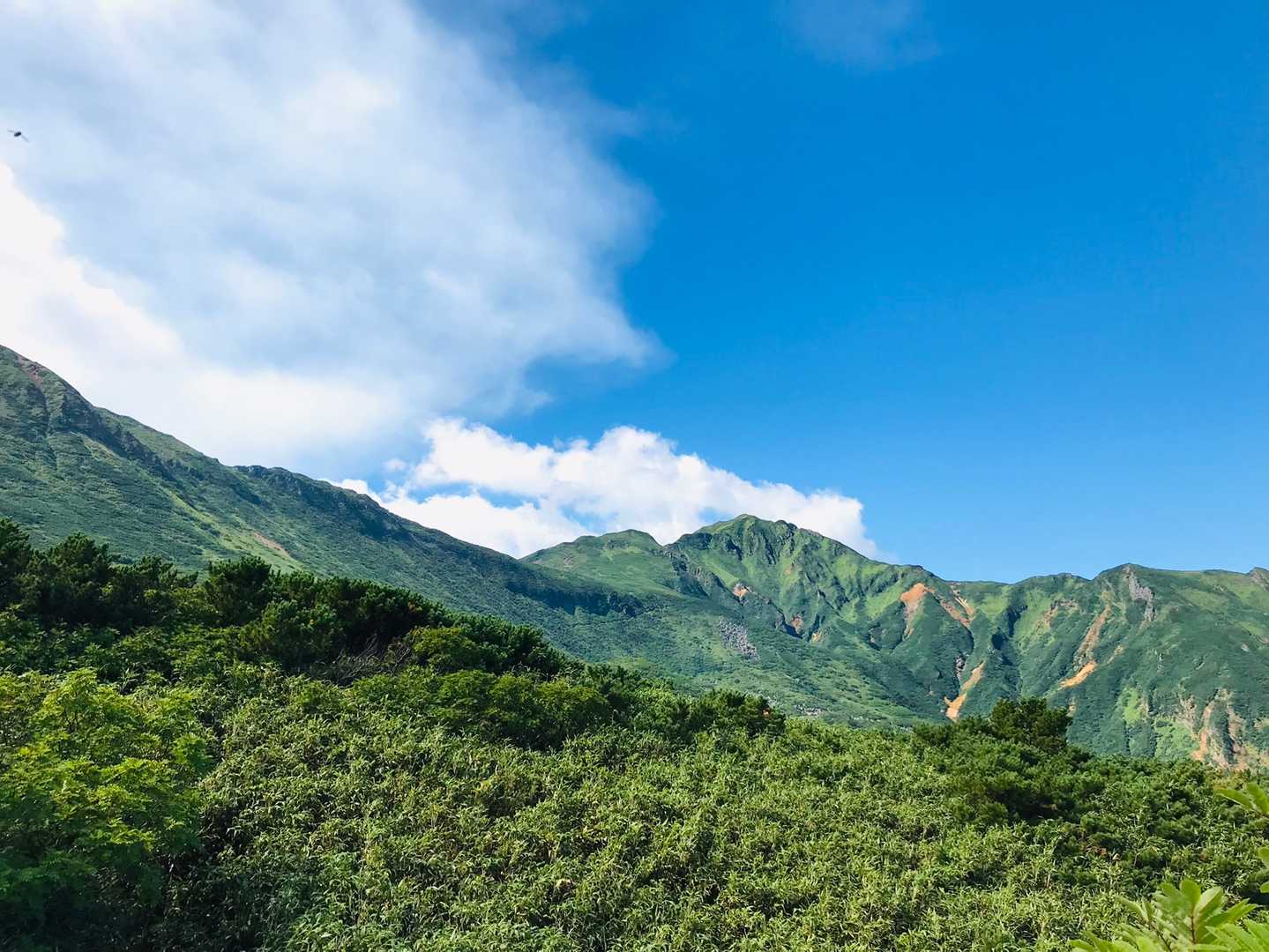 富良野岳⛰晴れてますやん☀️