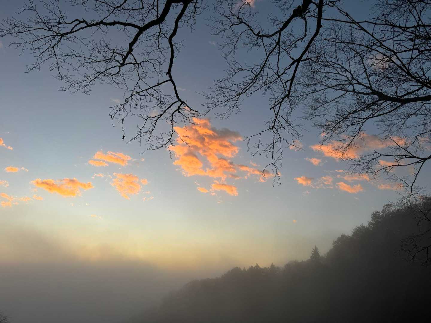 雲