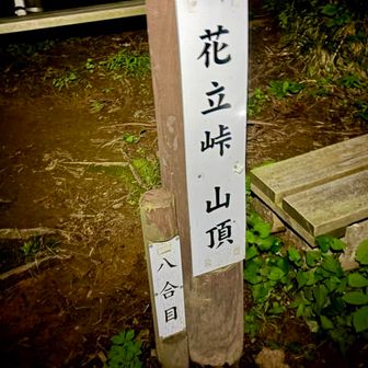 8合目に到着。
ここからも良く見えました。