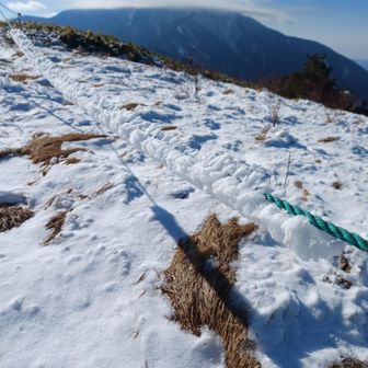 ロープに霧氷。