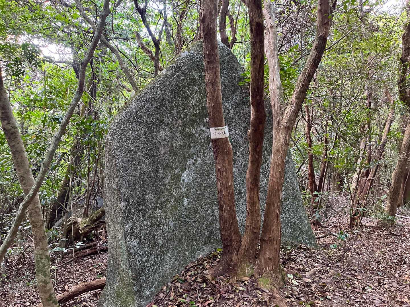 ついたて🪨
