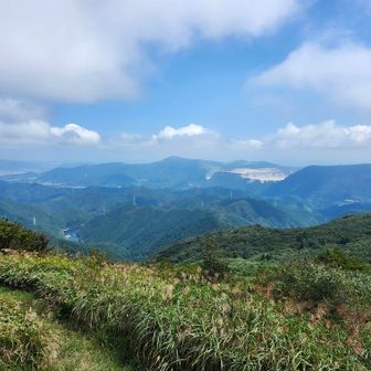 先週歩いた平尾台
