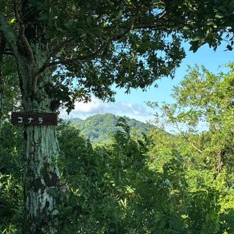 国見山から交野山
