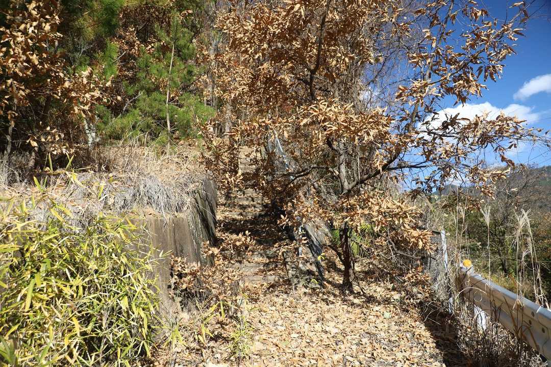 階段を登って山道に入る