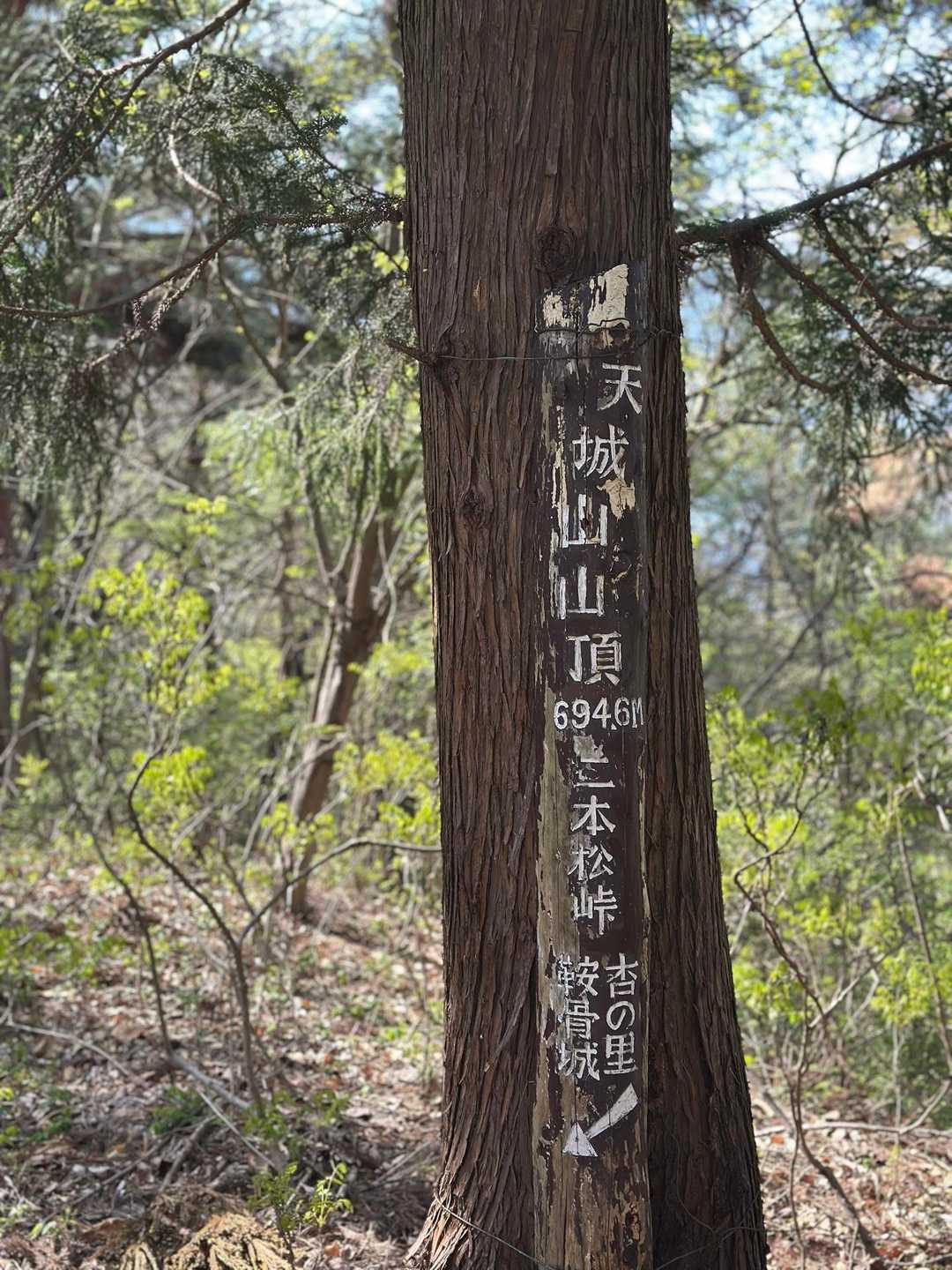 天城山⛰️