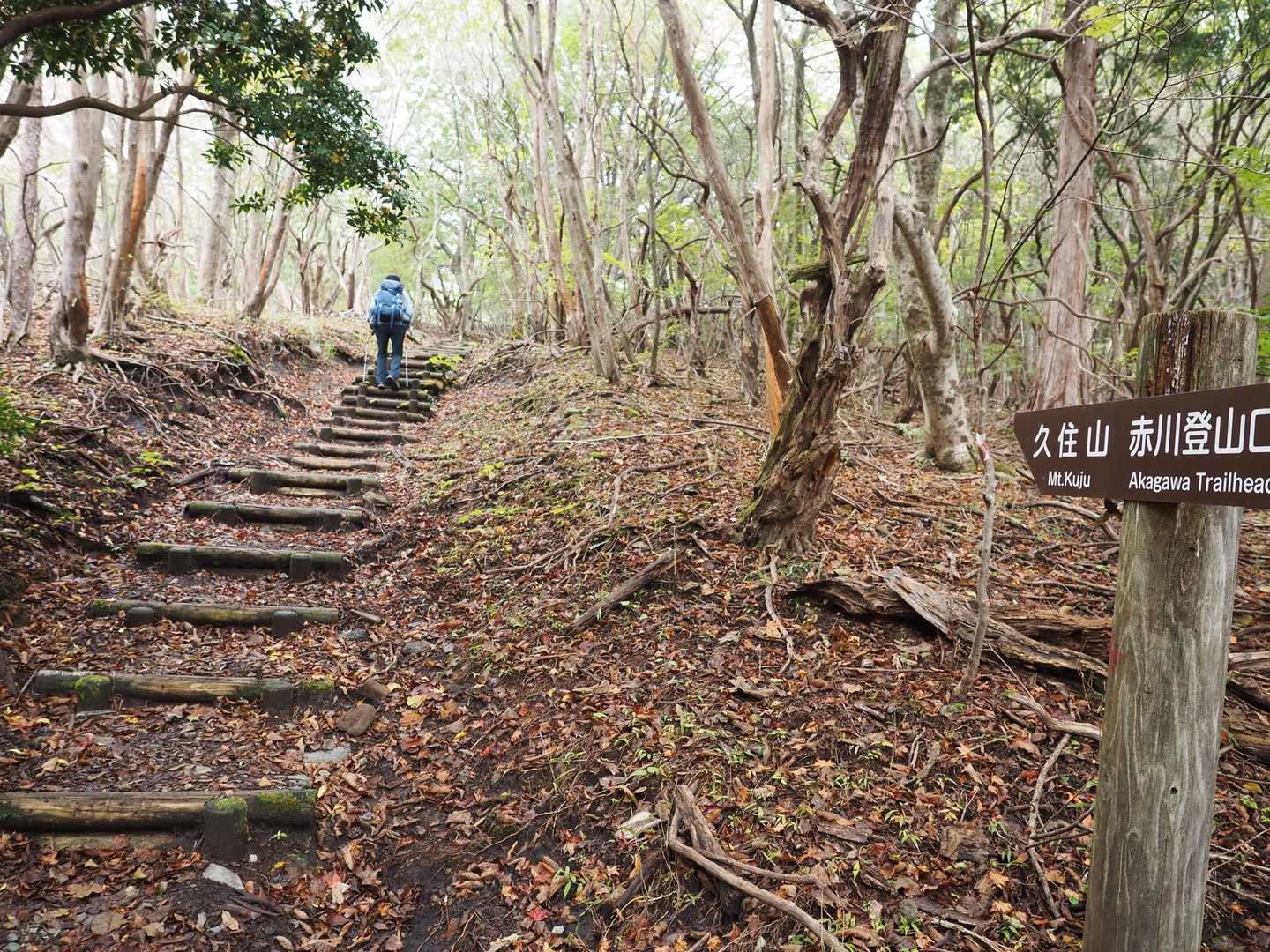 赤川登山口-久住山 往復コースの写真