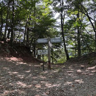 阿難峠（女坂峠）に到着。来るのは5年ぶり2度目。以前来た時はここから左に行って三方分山へ向かった。（当時はコロナ禍で緊急事態宣言中だったのでレポは非公開）今回は右に曲がって王岳を目指す