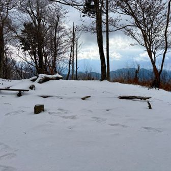 山頂付近はいい感じ⭐