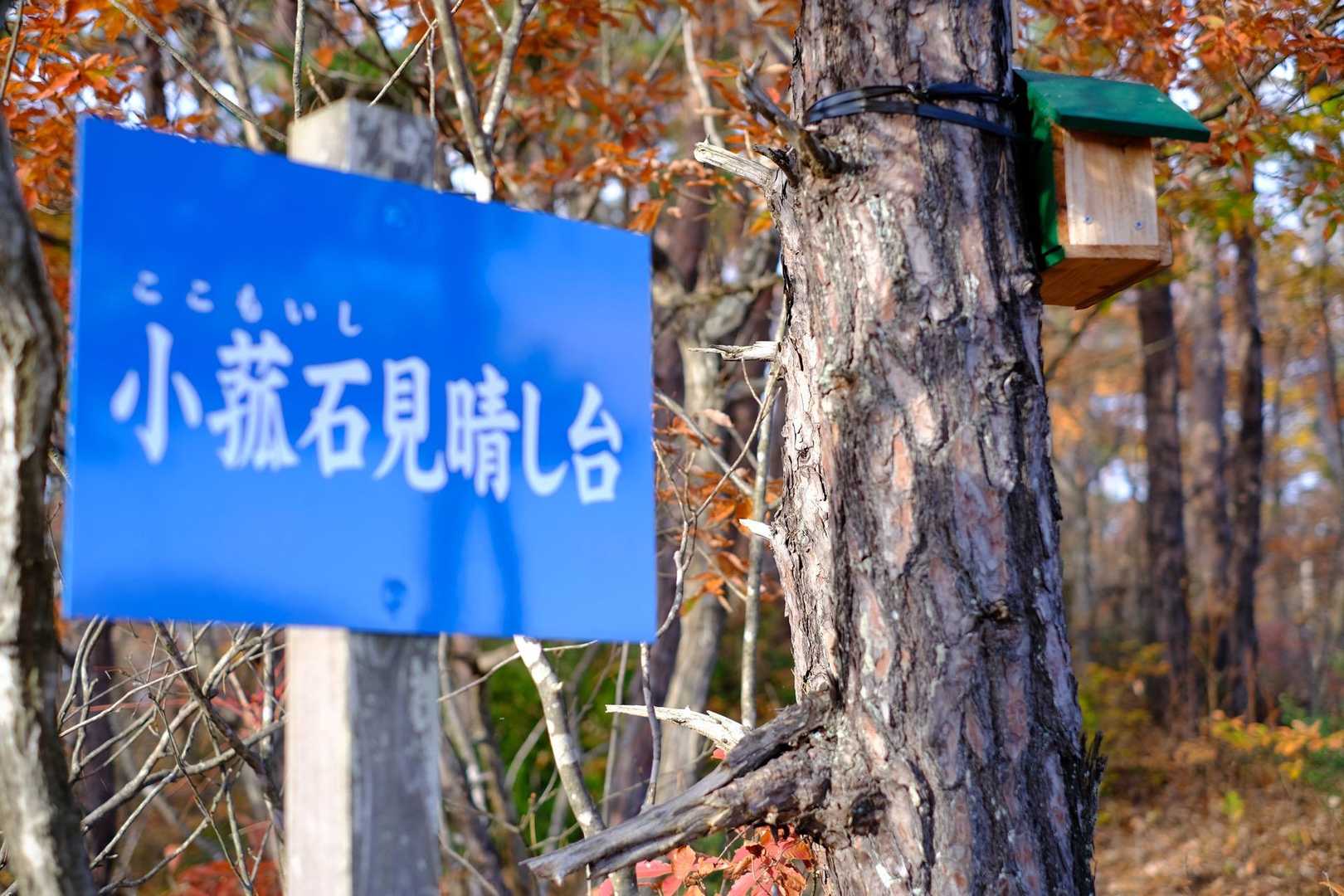 食べたらルンルン♪
こ、ここもいし…山に戻ります🤣