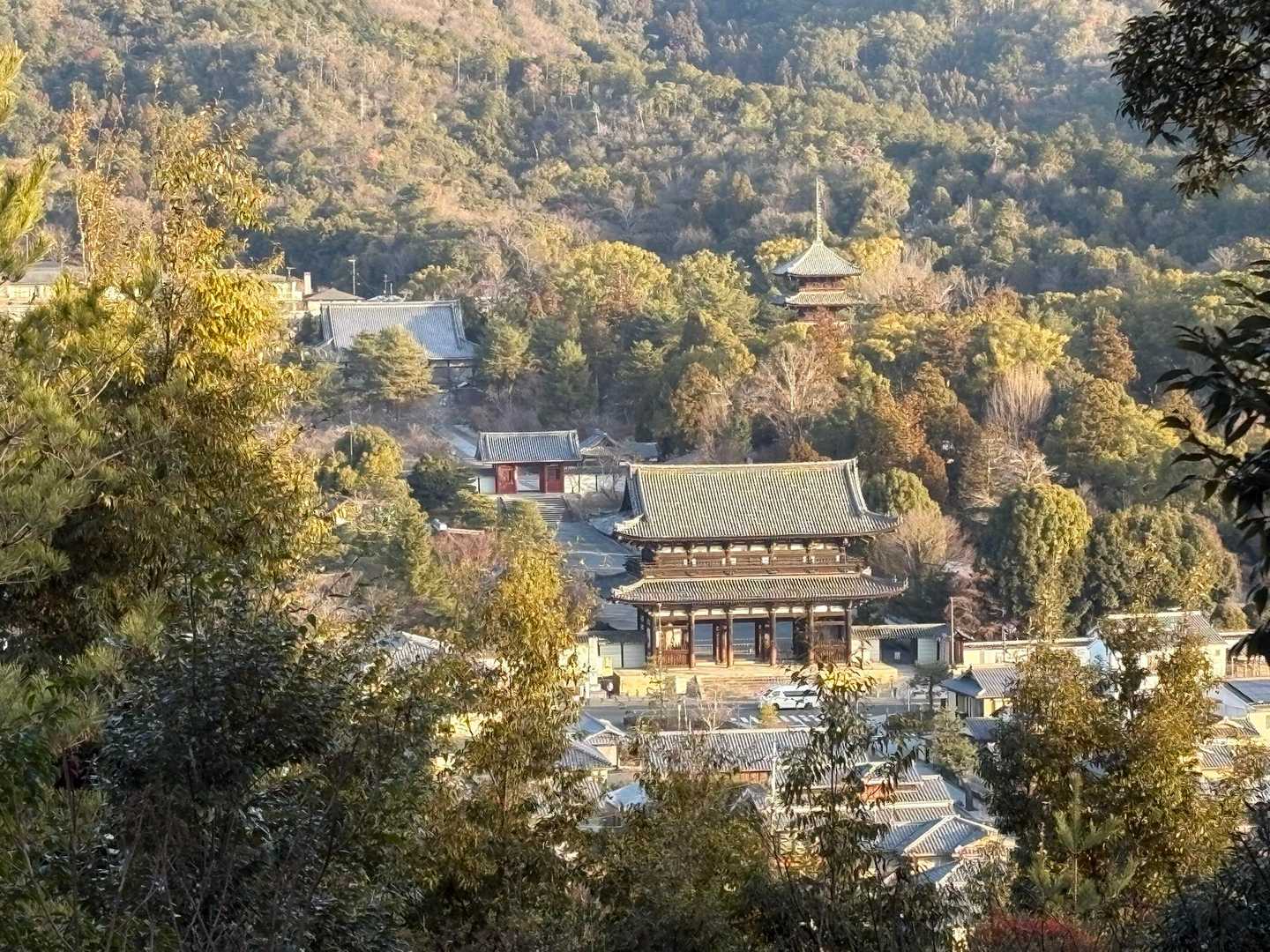 眼下に仁和寺を見下ろす。