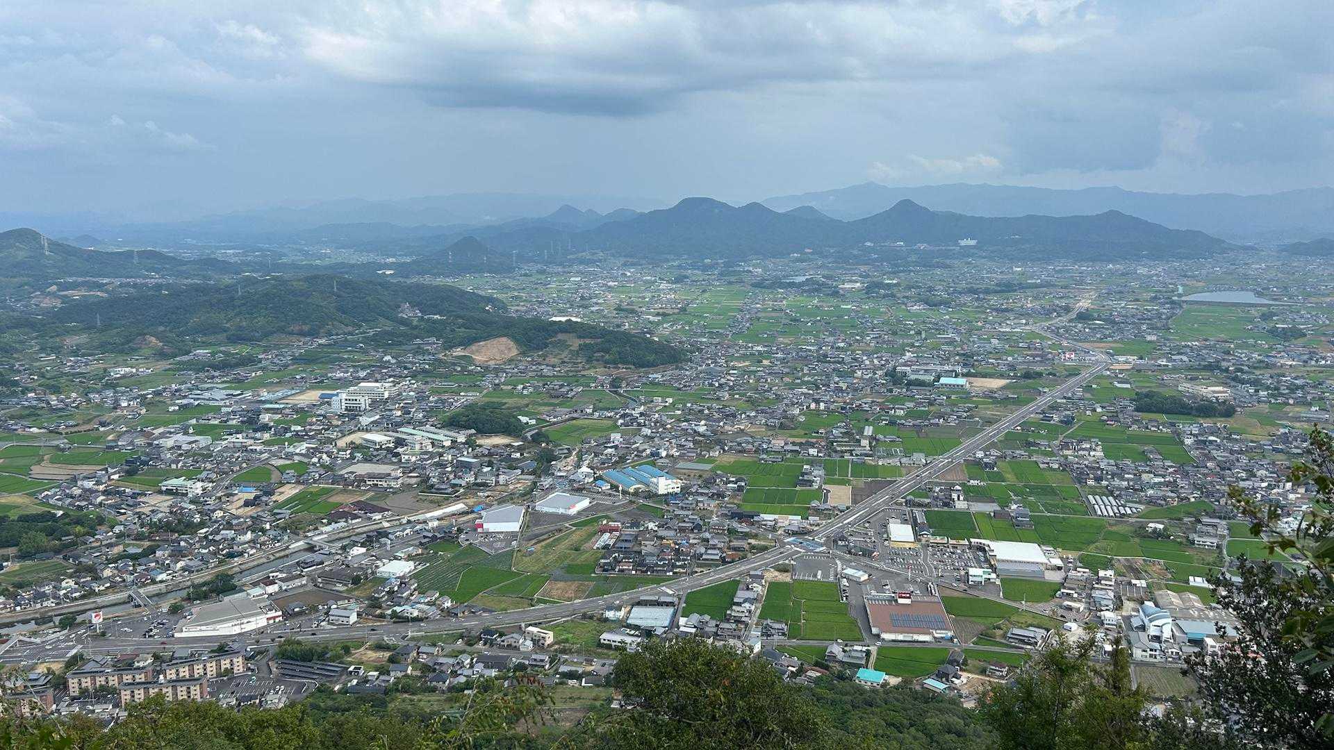 猫山方面😁